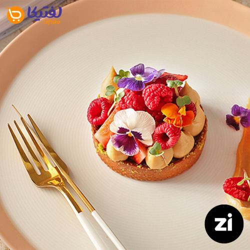 بشقاب تخت چینی زرین فرم اس پاستل گلبهی سایز 33