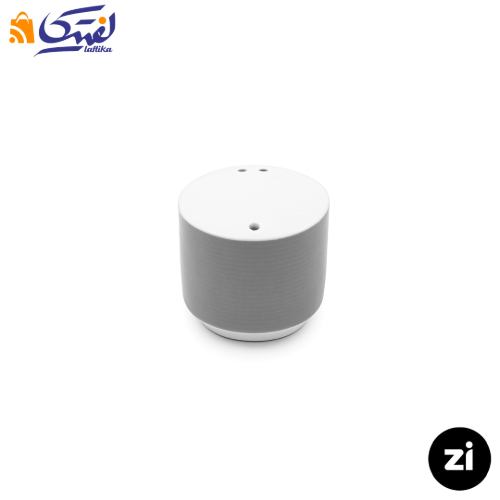 خرید ست 5 پارچه نمک فلفل سماق چینی زرین Zi فرم اس پاستل طوسی