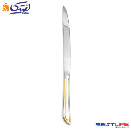 چاقوی سرو بزرگ بست لایف مدل 330SG