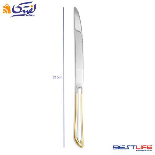 خرید چاقوی سرو بزرگ بست لایف مدل 330SG