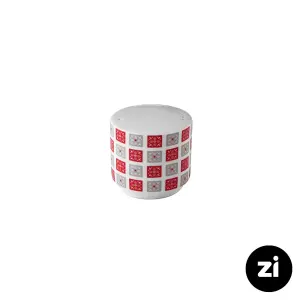نمک پاش چینی زرین zi فرم اس طرح روشان