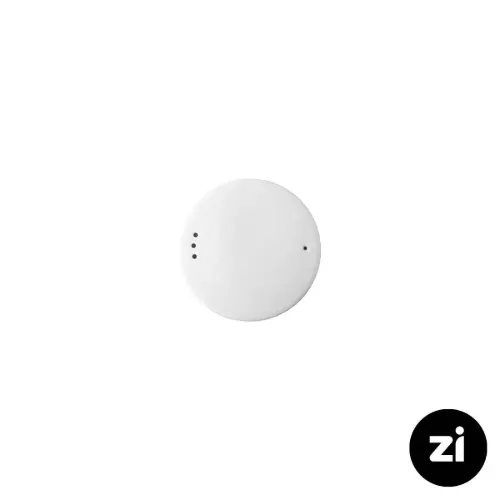 فلفل پاش چینی زرین zi فرم اس سفید