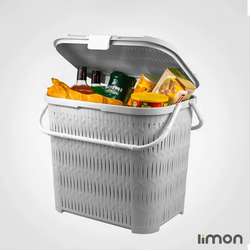 سبد پیک نیک لیمون